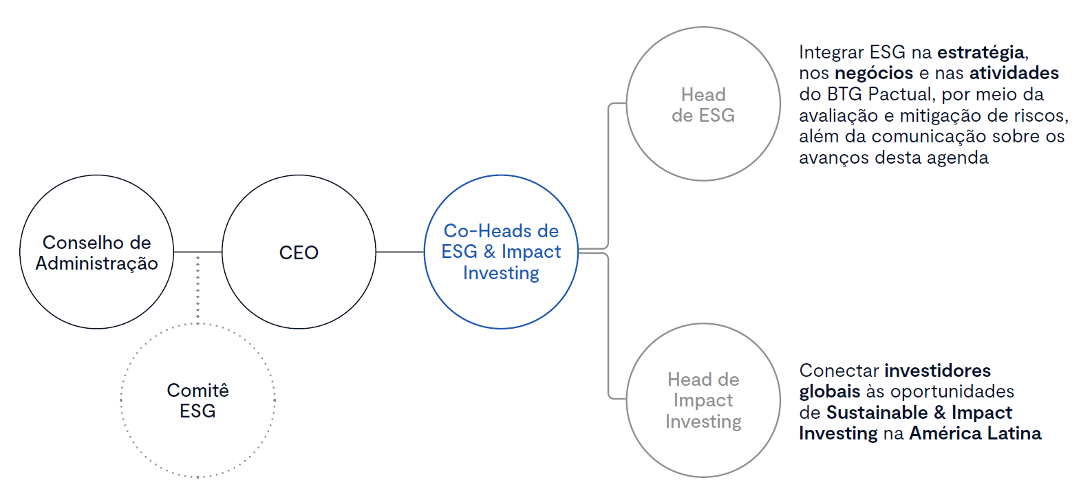 Estrutura de gestão ESG e Investimento de Impacto